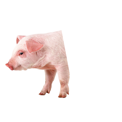 Demi-cochon (Dépot)