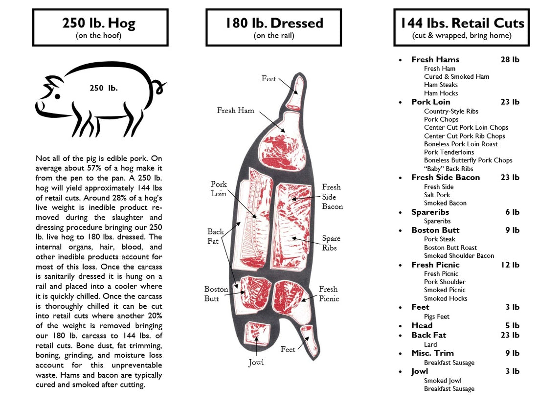 Découpe de Porc. De la ferme à votre assiette !